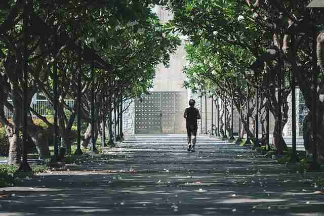 火线-91网页版热度密码-26招·年度精选
